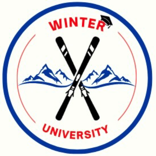 Logo Winter University
